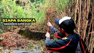 Siapa sangka.!! Ikan rawa ini mengejutkan pemancing dengan tarikan yang super ganas