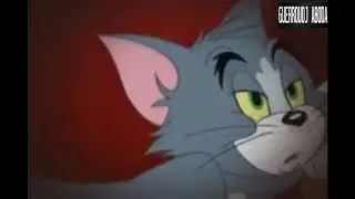 توم قالك -أخسر وفارق - Tom et Jerry جزائري ههههههههههه