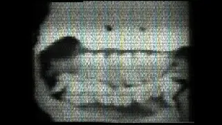 The Krumbo Kronicles