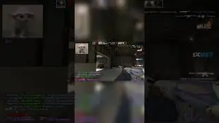 Как 5000 elo Игроки играют на Самом Деле 