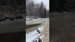 Осенняя охота 