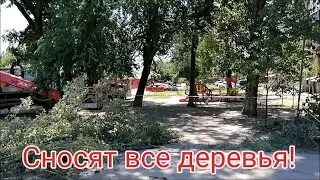 Жильцы в шоке!/Сносят все деревья в нашем дворе/Влог 