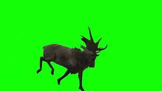 Megaloceros Running Green Screen