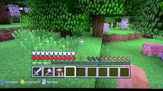 buscando el portal al dragon