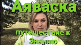 Аяваска. Путешествие к знанию. Мой первый опыт!