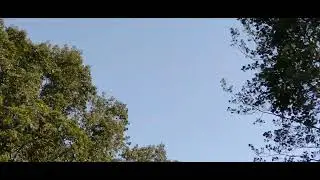jet plane without contrails or chemtrail.