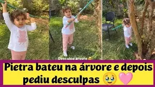 Pietra bateu na árvore e depois pediu desculpas 🥹🩷