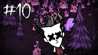 Начало лето  / Don't Starve / Dont starve / Донт старв