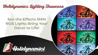 See the Effects 5MM RGB Lights Bring Your Décor to Life!