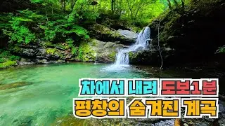 차에서 내려 도보 1분이면 도착! 평창의 숨겨진 계곡 여행! 한적하고 여유롭게 즐길 수 있는 곳입니다.