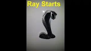 Ray Starts His GT500