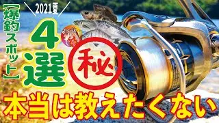 【４選】サビキ、エサ釣り。なんでも釣れる。【愛知の釣場】