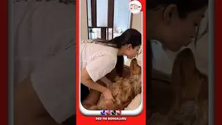 Rashmika's Paw-dorable video with her pet Aura #RashmikaMandhanna #redfmbengaluru