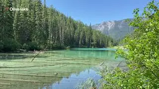 Природа Канады. Поездка в Британскую Колумбию на горячие источники