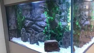 3D Aquarium