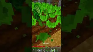 How I make salad in Minecraft #Minecraft #Gaming #farm