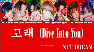 NCT DREAM - 고래 (Dive Into You) Color Coded Lyrics
