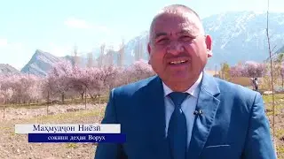 Наврузи Ворух--2023