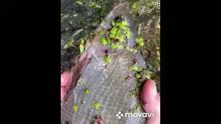 Клюет на мою снасть Самолет!!!