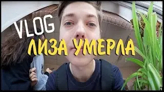 ►VLOG | ЛИЗА УМЕРЛА!? \\ ОДИН ДЕНЬ ИЗ ЖИЗНИ