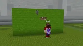 Dumb Minecraft Player