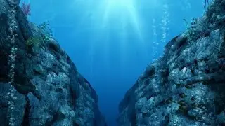 🌊🔍 The Mysteries of the #MarianaTrench! Enigmatic abyss 🐙🦑   #DeepSeaExploration #NaturalWonders