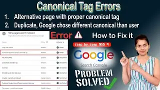 Alternate Page with Proper Canonical Tag | Duplicate, Google chose different canonical than user fix