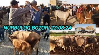 SAMARQAND V NUROBOD TUMANI NURBULOQ SHAHARCHASI CHORVA BOZORIDAN NARXLAR 23.08.24