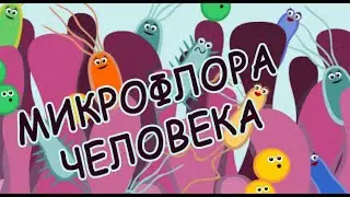 Как микрофлора влияет на работу всего организма и на наши эмоции?