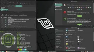 🐧 Установка Linux Mint 20 MATE FINAL STABLE RELEASE на VMWare Workstation и подробный обзор нового