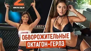 Самые горячие Ring girl в мире боев без правил