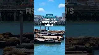 Must-Visit Spots at Fisherman’s Wharf in San Francisco, California #Travel #visittheusa