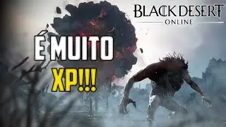 MELHORES SPOTS PARA XP!!! - Black Desert