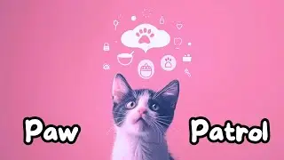 New CAT In Town