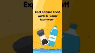 Cool Science Trick! Water & Pepper Experiment! #scienceexperiments