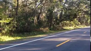 Save William Bartram Scenic Highway, N.W. St. Johns County, FL