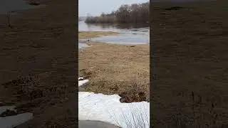 Половодье на Клязьме в Боголюбово. Начало. 2024 #половодье #боголюбово #клязьма
