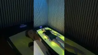 best l a bed in the world. higher quality of comfort