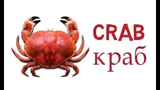 How to draw a crab step by step