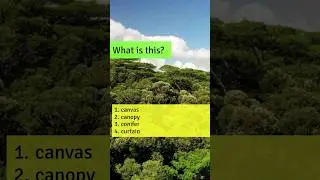 What's this?