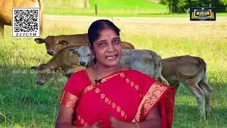Class 2 Term 3  English   A Visit to the Farm   Unit 1  Part 2