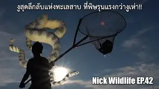 งูสุดลึกลับแห่งทะเลสาบ ที่พิษรุนแรงกว่างูเห่า!! Nick Wildlife EP.42