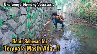 Big eel fishing in the middle of the city