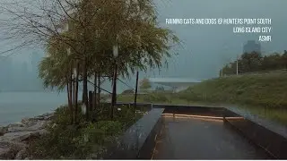 Torrential Rainfall. 4K Rain Walk NYC ASMR