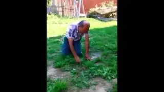 сулах пэ бравинта хая дат э чяр