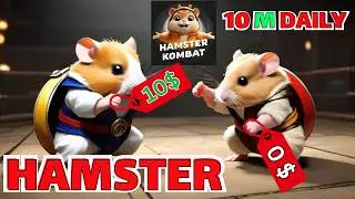 20 میلیون همستر در روز؟! | 💯+مهم  ترین کارت ها، زمان لیست شدن و قیمت!