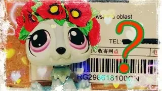 LPS: ПОСЫЛКА! Раcпаковка и обзор! МНОГО всего!