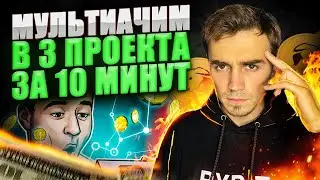 Мультиаккаунты в Tally Ho wallet, zkSync, Orbiter Finance.