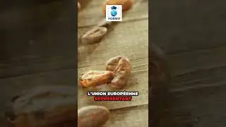 🇨🇲🌍 Quand la tech 🚀 rencontre l'agriculture 🌱!