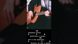 Пфильмы - Уроки любви